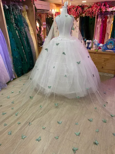Capa para vestido de 15 años decorada con mariposas en color Verde Sage