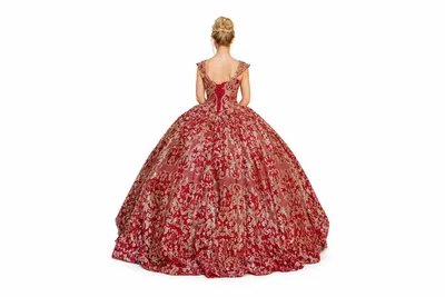 Burgundy and Gold Embroidered Ball Gown Back View