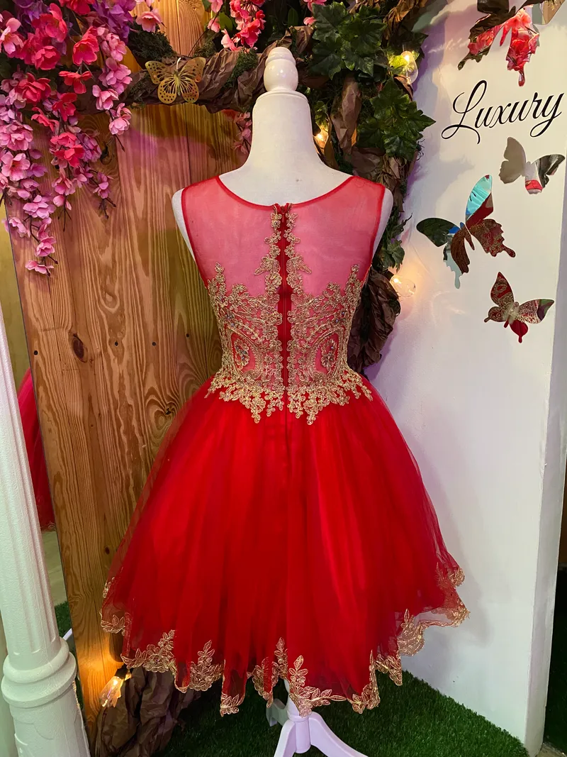 Vestido corto de Quinceañera decorado con apliques dorados en Top y falda corte A de Tul