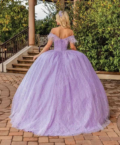 Vestido de 15 años Off Shoulder decorado con Pedreria y lentejuelas en Top, plumas desmontables en mangas y falda corte Princesa de Glitter
