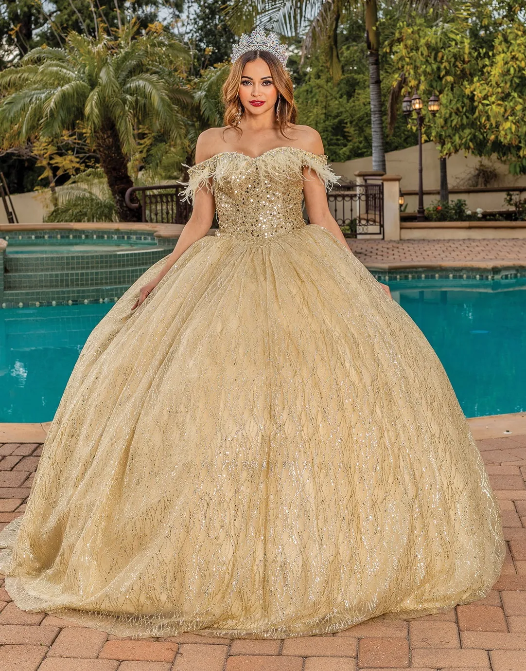 Vestido de 15 años Off Shoulder decorado con Pedreria y lentejuelas en Top, plumas desmontables en mangas y falda corte Princesa de Glitter
